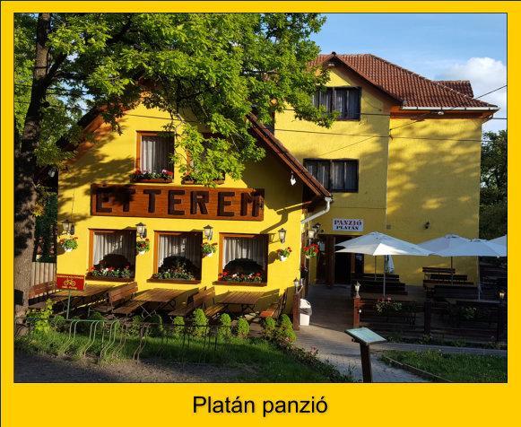 Platan Panzio Hotel Dobogoko Eksteriør billede